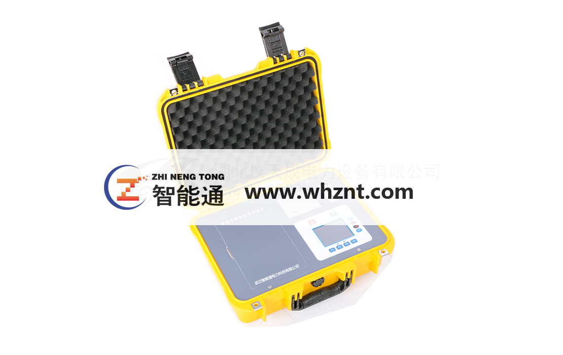 深圳ZNT-3100  智能电导盐密度测试仪